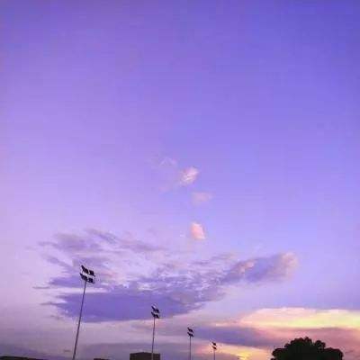 大发彩票appapp下载