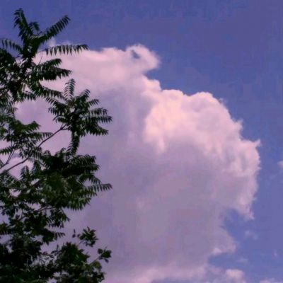 澳博平台app截图